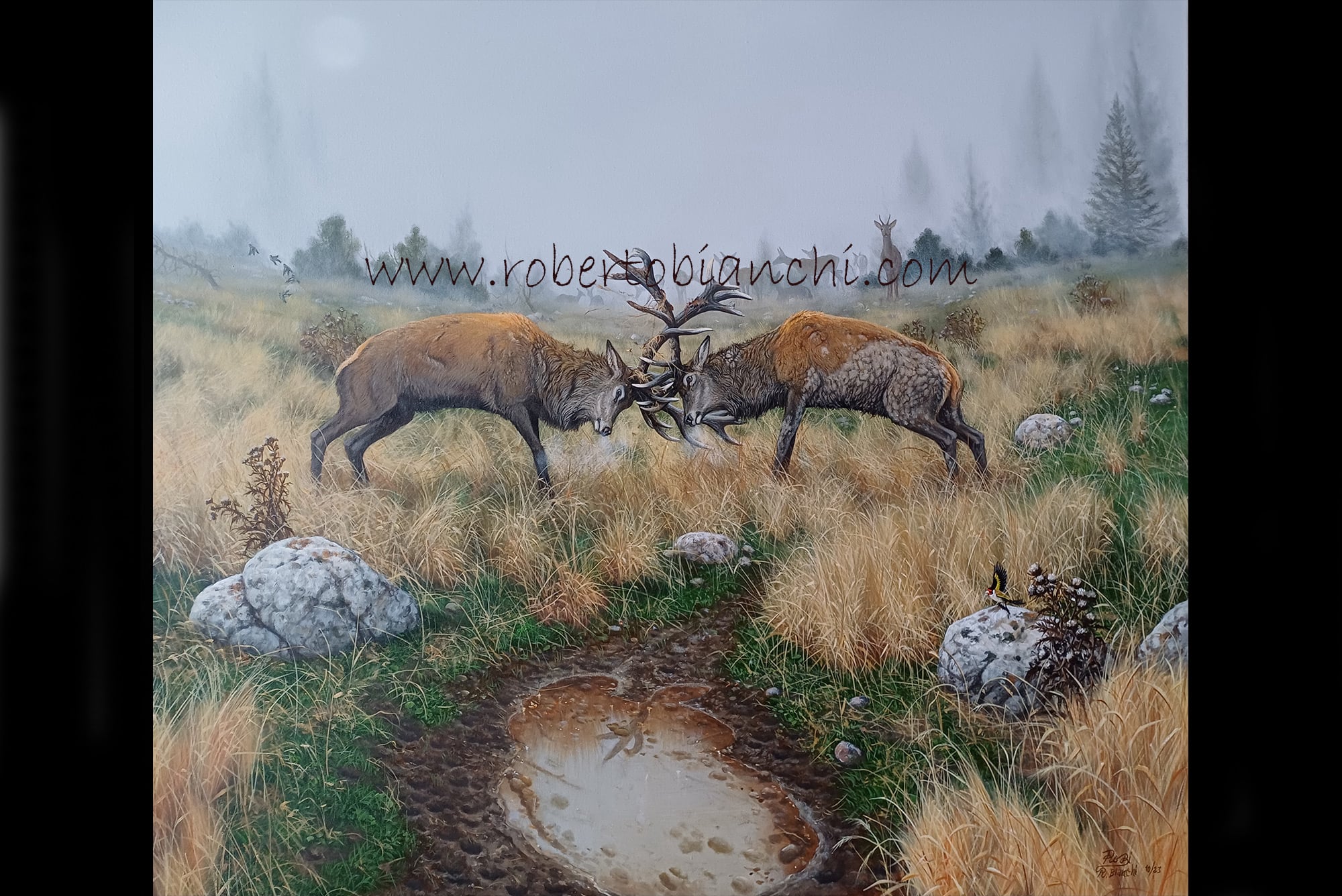 Roberto Bianchi pitture animali