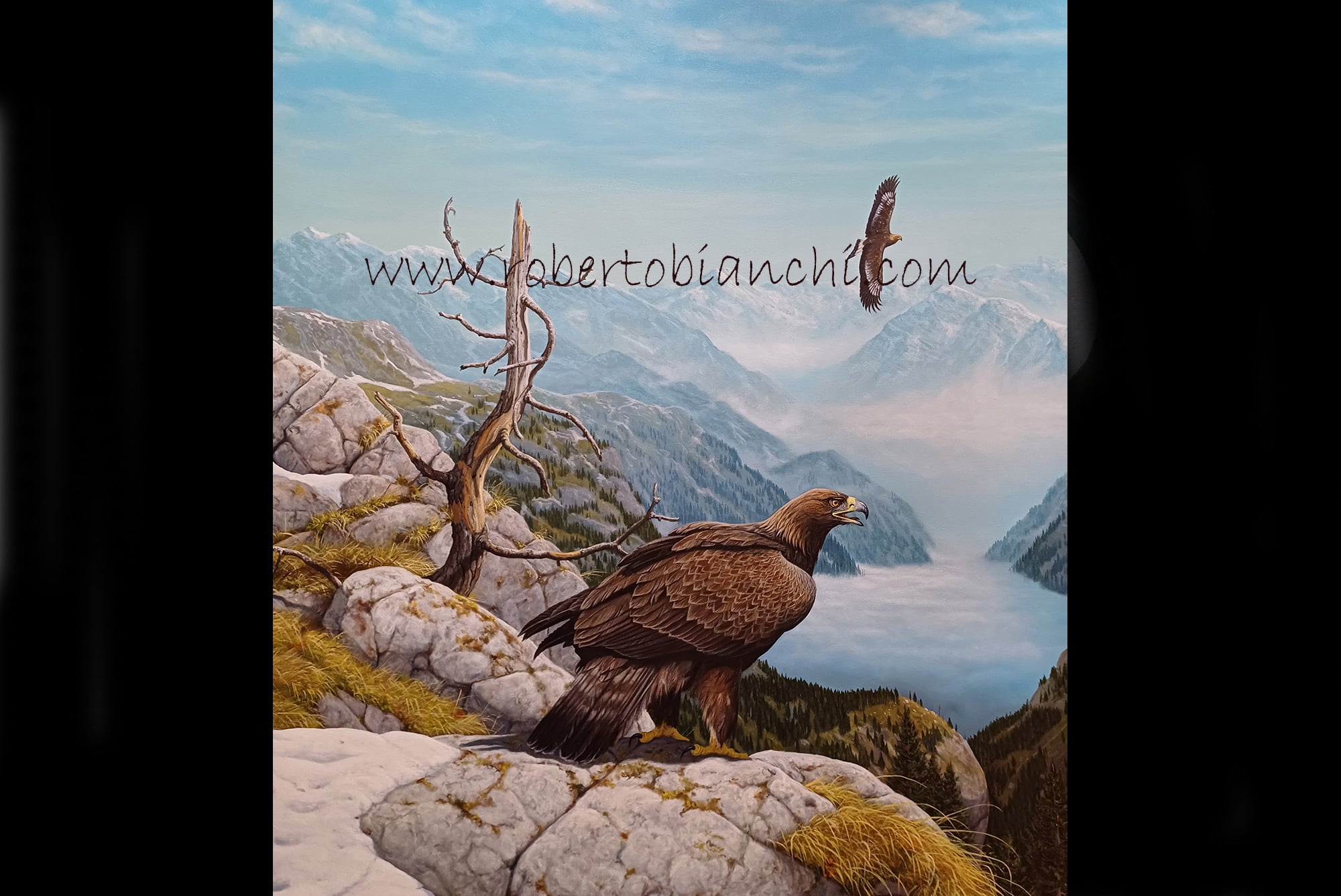 Roberto Bianchi pitture animali