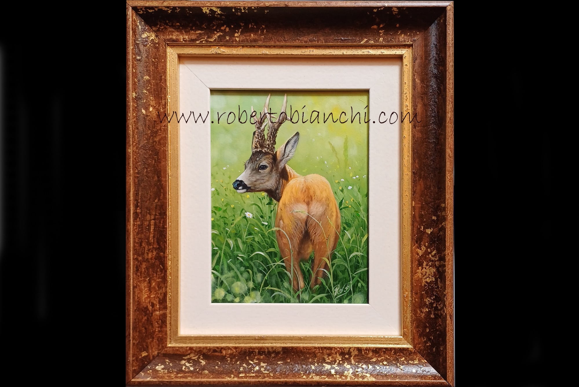Roberto Bianchi pitture animali