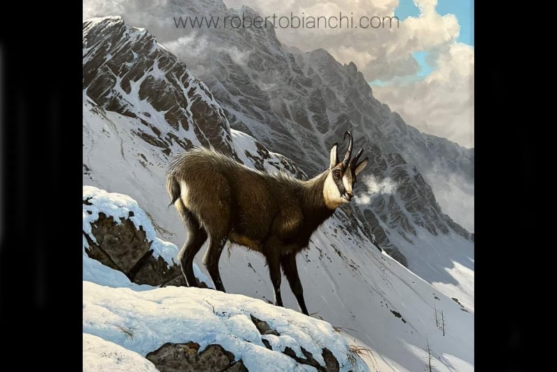 Roberto Bianchi pitture di animali