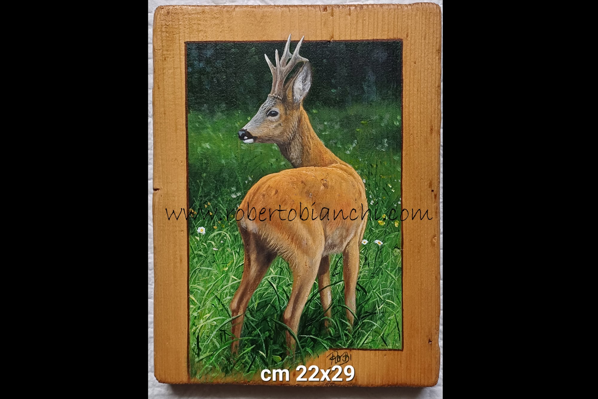 Roberto Bianchi dipinti olio su legno