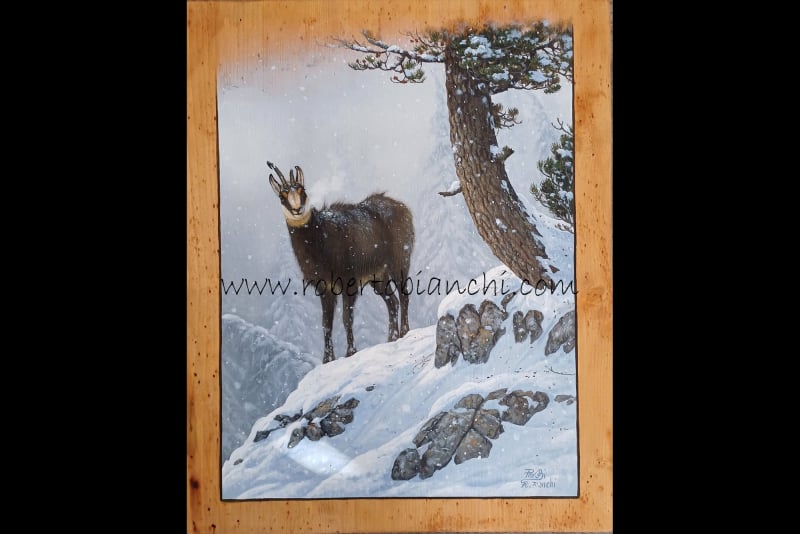 Roberto Bianchi dipinti olio su legno
